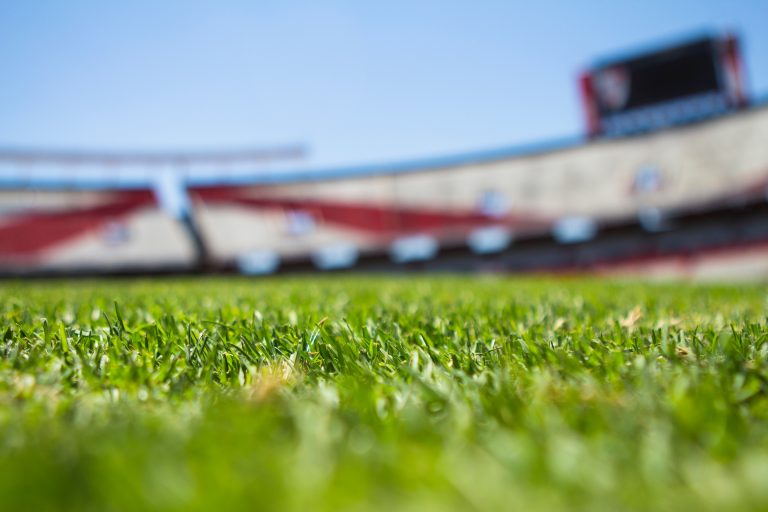 grass field