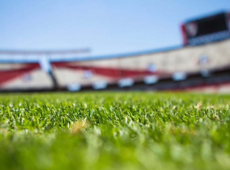grass field