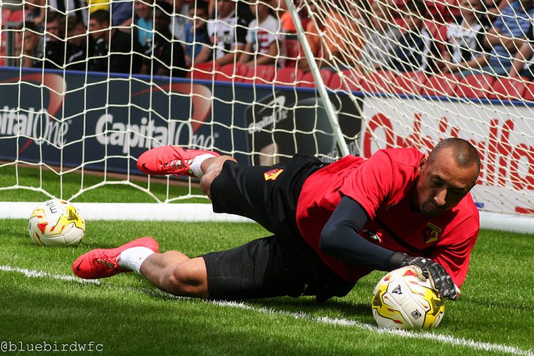 heurelho gomes Watford Premier League goalkeeper